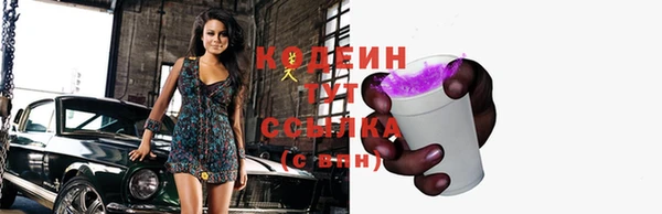 ECSTASY Алзамай