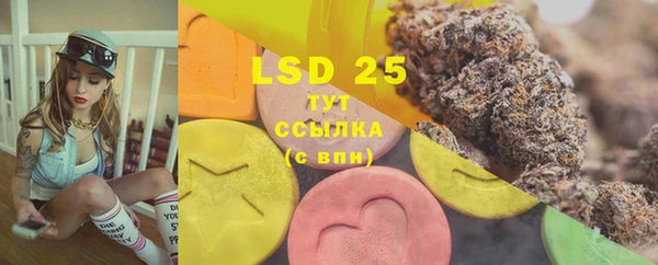 ECSTASY Алзамай