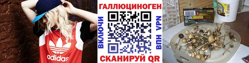 магазин    Апшеронск  Галлюциногенные грибы Psilocybe 