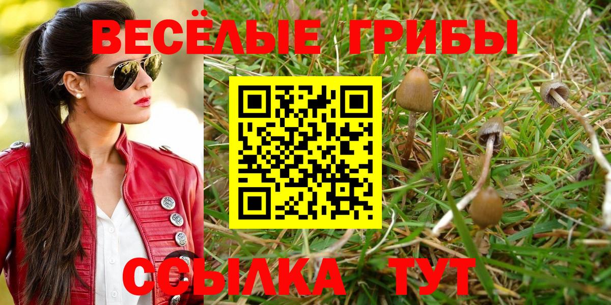 Псилоцибиновые грибы прущие грибы Апшеронск