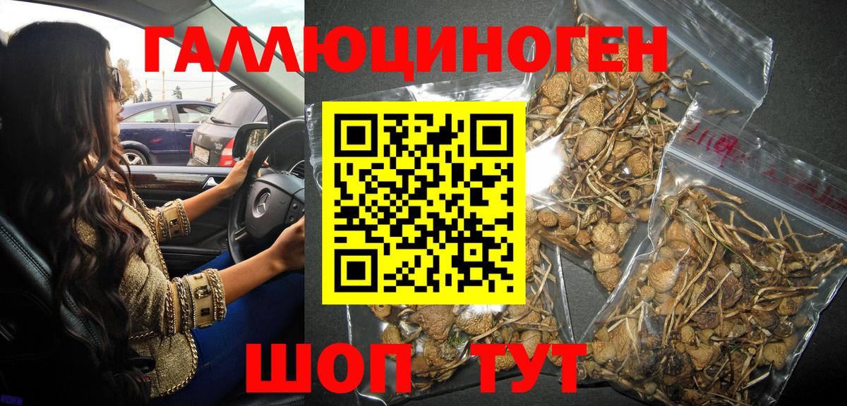 Апшеронск  Псилоцибиновые грибы ЛСД  Вход с VPN  Псилоцибиновые грибы Magic Shrooms 
